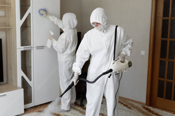 Best Localized Mold Remediation (e.g., coastal areas, humid climates) in St Ann, MO
